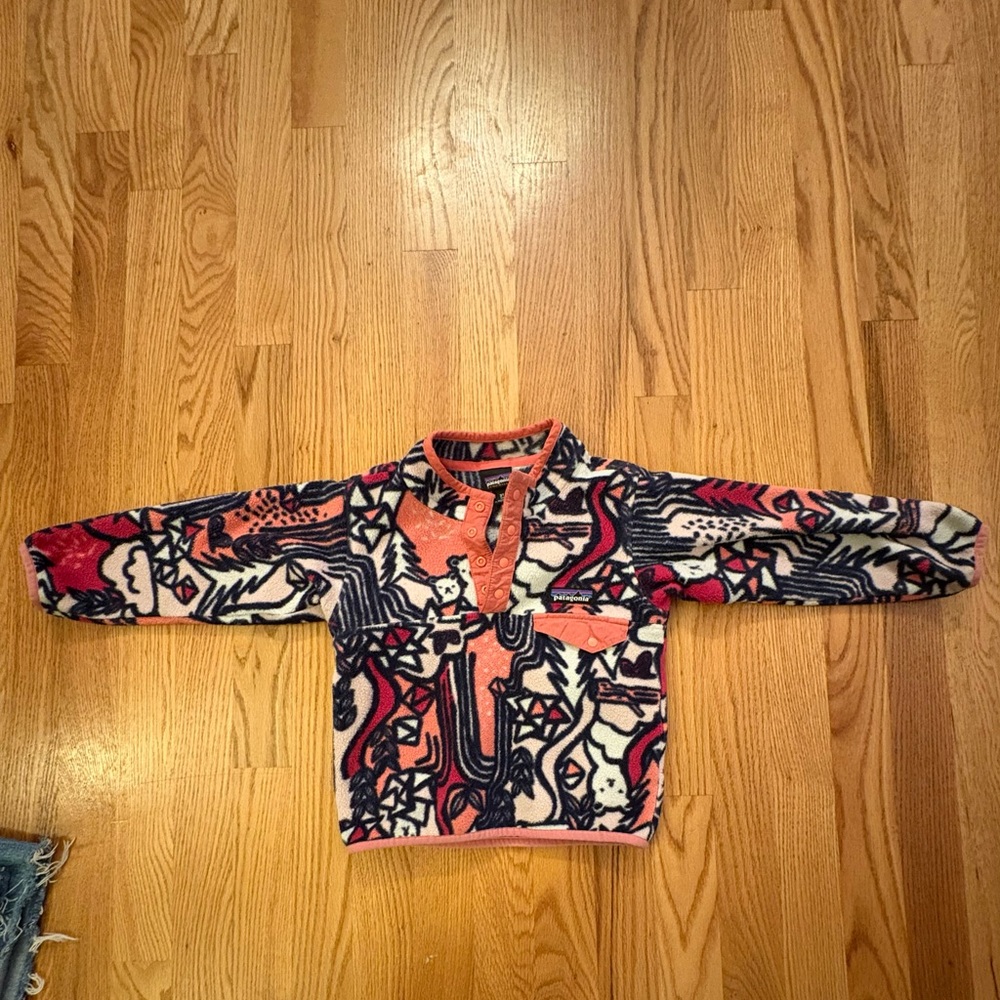Colorful Patagonia Pullover fleece